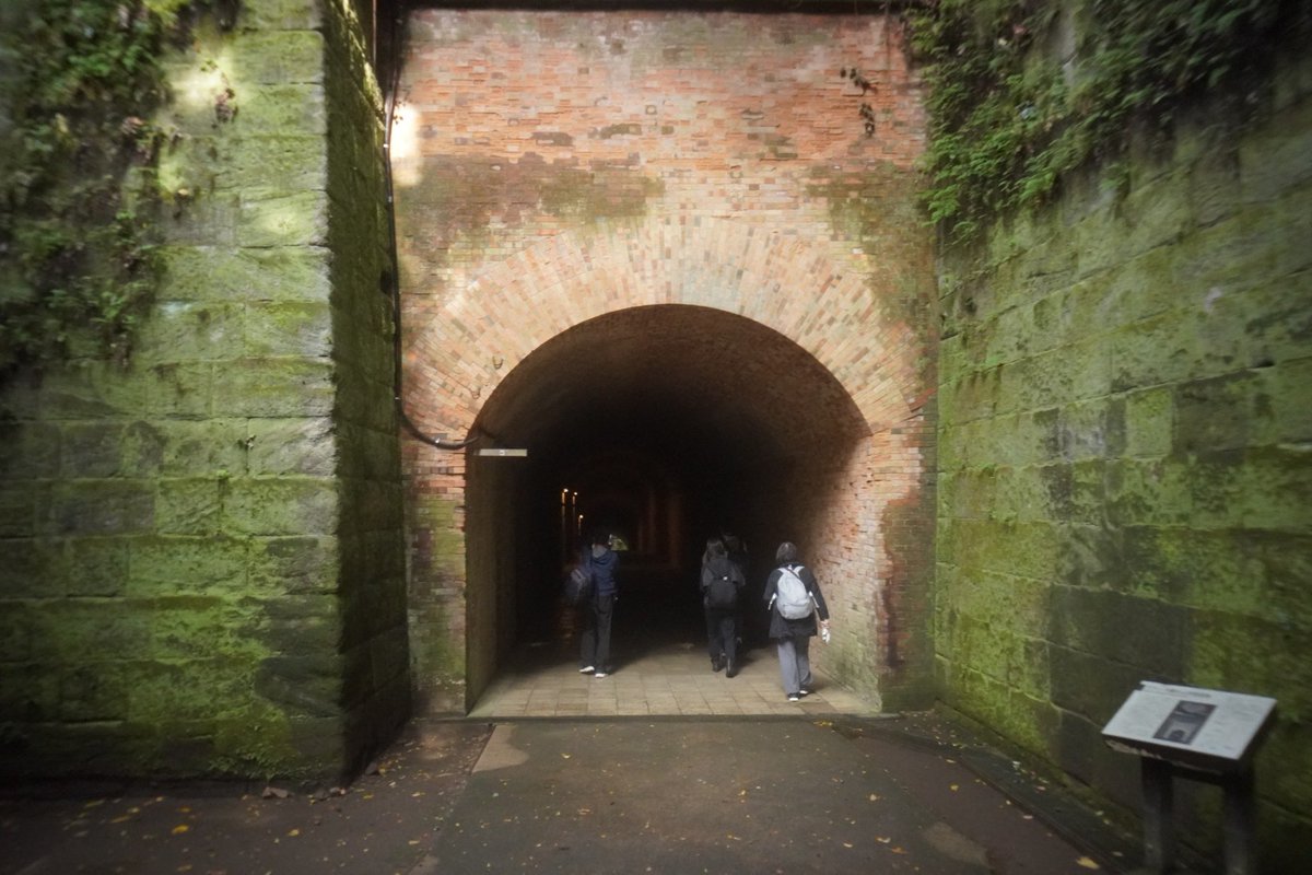 UC_DG54's tweet image. 先日の無人島で歴史と自然を感じる旅
@masumoto_com 
@ryosuke_create