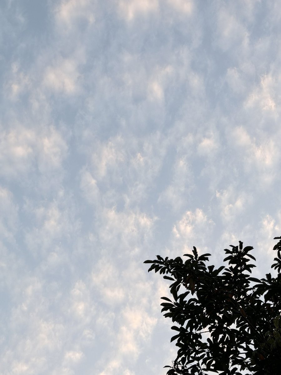 Weare99_'s tweet image. 秋高气爽 #健身