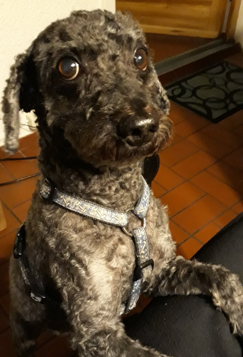 𝐙𝐮𝐤𝐮𝐧𝐟𝐭𝟑𝟕 - Bernd F. - F wie Freiheit! 🗽 tweet media