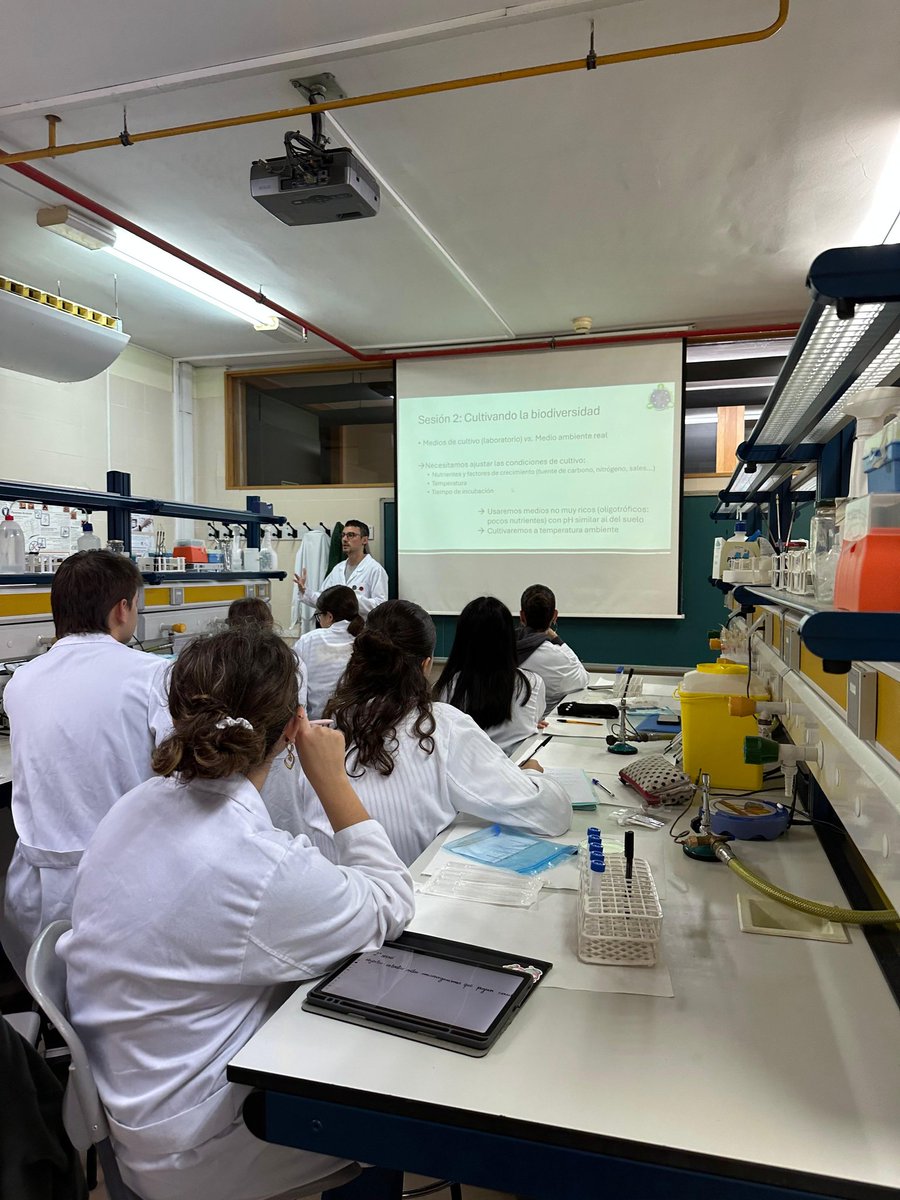 Micromón València. Tiny Earth, SWI, Micromundo tweet media