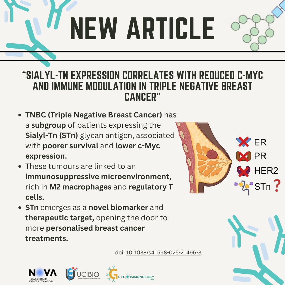 New article!
The <a href="/Glycoimmunolab/">GlycoImmunology Lab</a> has uncovered a previously unknown subgroup of triple-negative breast cancer (TNBC) patients expressing the sialyl-Tn (STn) glycan antigen.
rdcu.be/eM8cs
<a href="/REA_research/">European Research Executive Agency</a> 
<a href="/UCIBIO_Research/">UCIBIO</a> 
<a href="/FCTNOVA/">Faculdade de Ciências e Tecnologia | NOVA FCT</a> 
#glycotime #glycoscience #glycotwinning