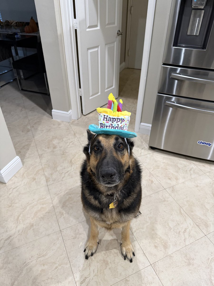 elopez13_'s tweet photo. Happy 8th birthday my boy https://t.co/x7nrbR1xW5