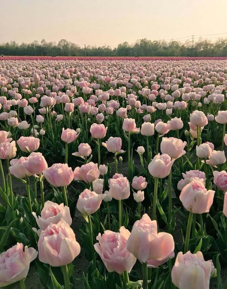 Gabrielarmy10's tweet image. おはよ！ 気分最高！。お出かけ楽しみ。いい一日になりますように 📱