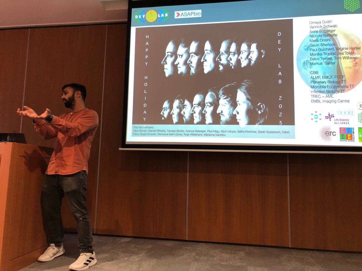 Caydasi Lab - Cell Cycle & Genome Stability tweet media