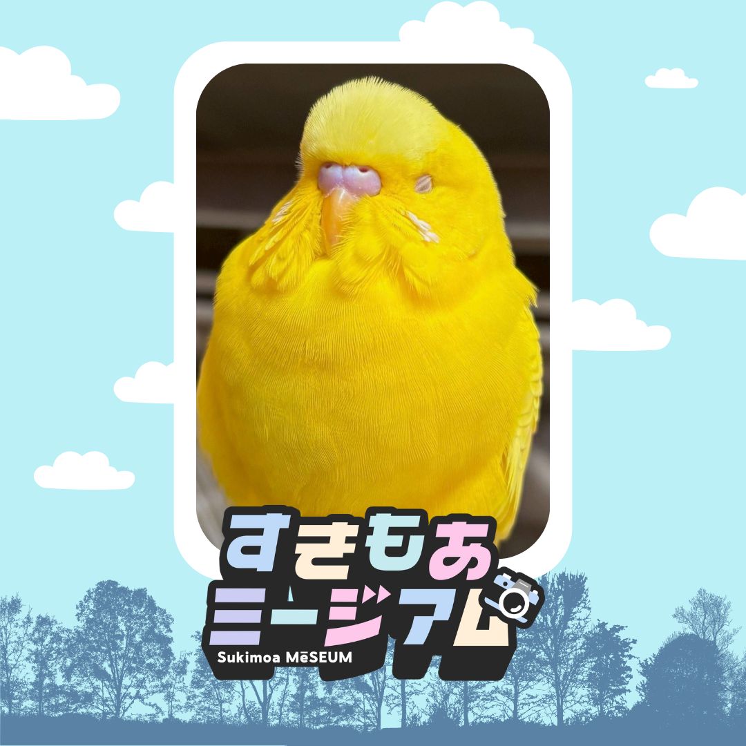 たっくん☕️🍠 (@Takkun180SX) / Posts / X