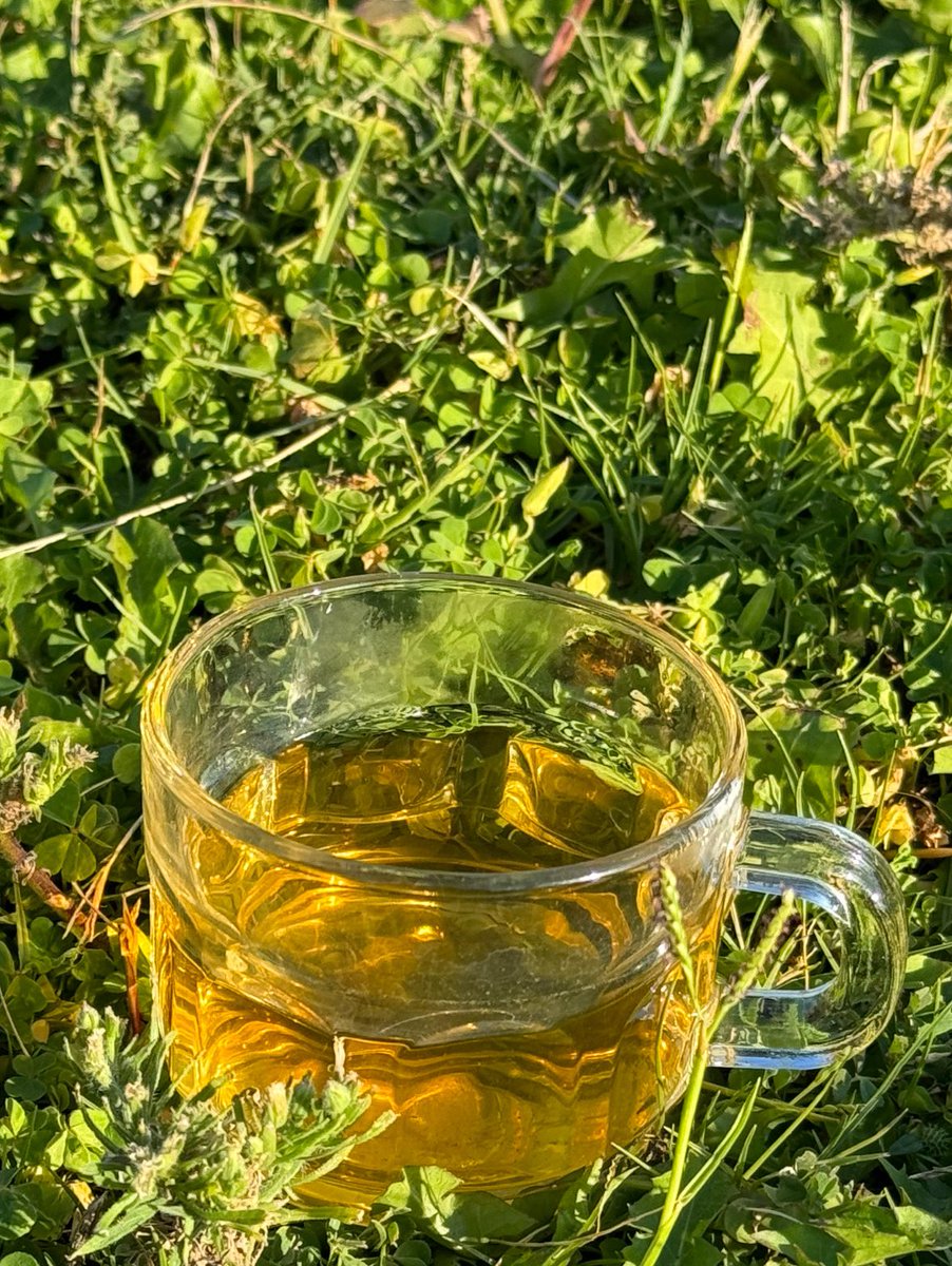 قليلا من تجهيزات المحاضرة القادمة و الكثير من جمال المكان.. نهاية اسبوع سعيدة