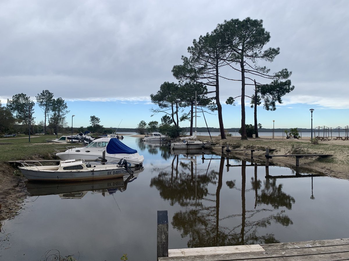 marcopantani40's tweet photo. Landes nature 💕 https://t.co/xZqaO7ffnq
