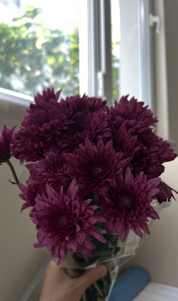 ilk kasımpatımm,benimkiler aldı iyi kiii…💗