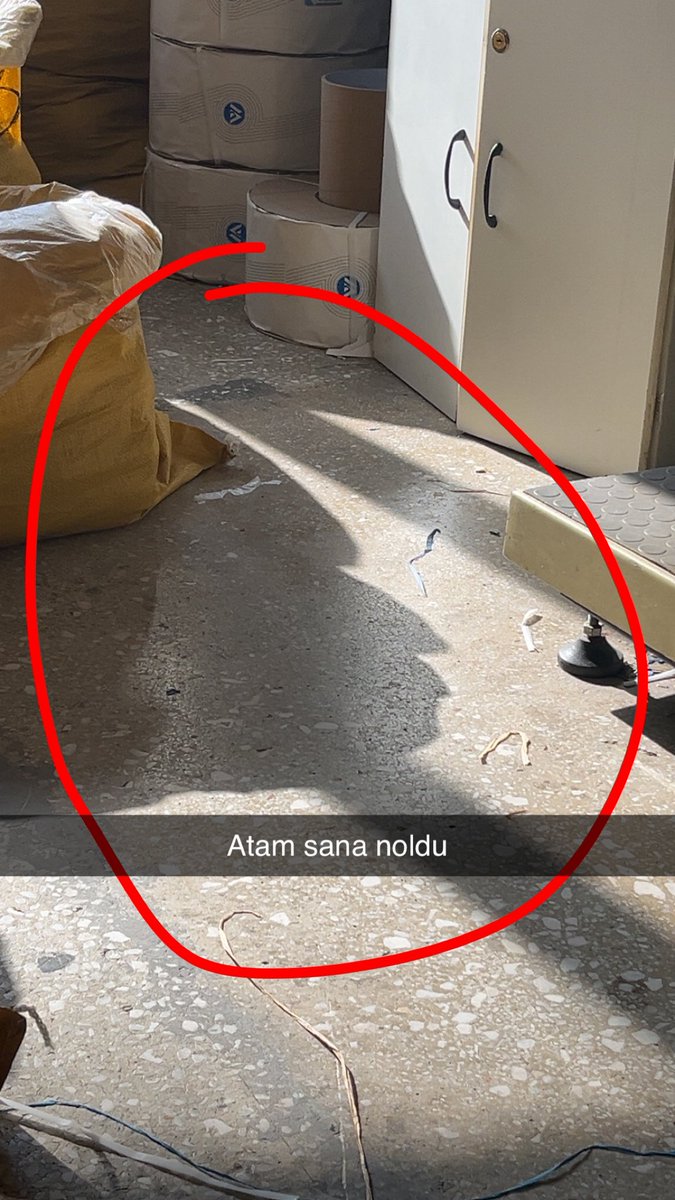 montana (@zeroceko) on Twitter photo 