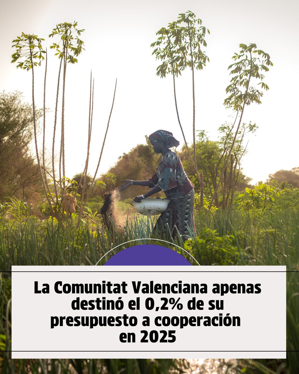 Coordinadora Valenciana de ONGD tweet media