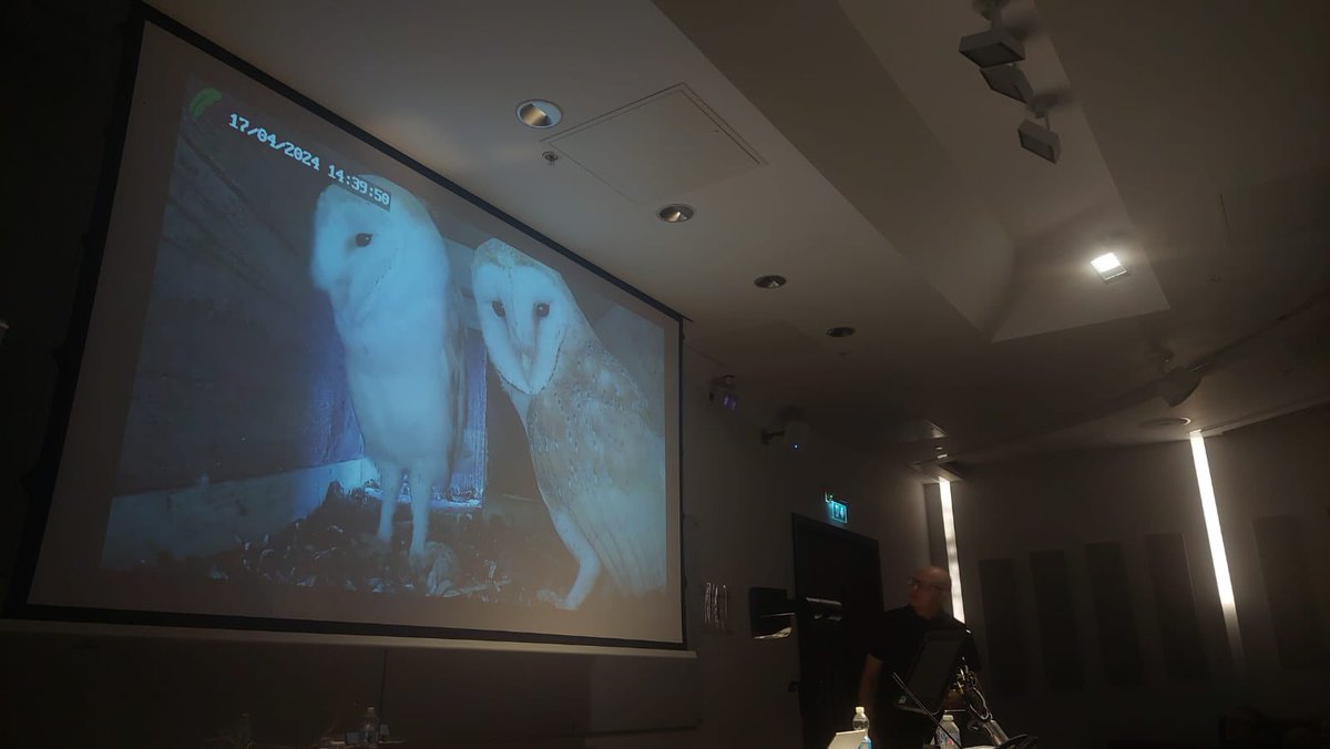 Well Peter’s Barn Owl family story didn’t disappoint on Wednesday night! Members enjoyed a first class presentation &amp; some fab footage

Calendars &amp; Annual Reports were snapped up. Our Anniversary Book pre-publication offer was launched too
Next meet: 10th Dec - wine + mince pies!