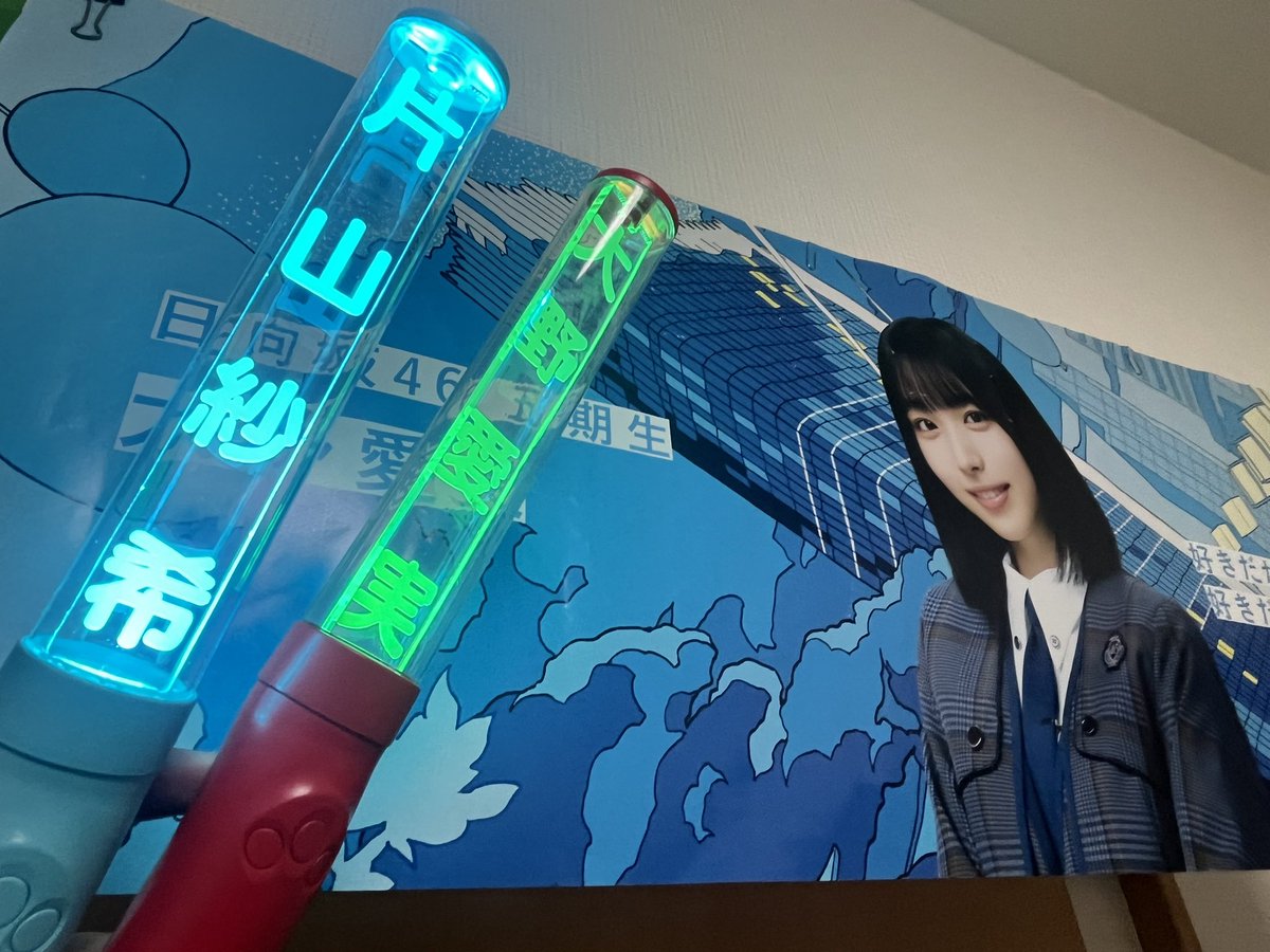 けいチャン🍧🍞🐼🐰🦦🎹☀️大阪両日、新参者1115、代々木1参戦