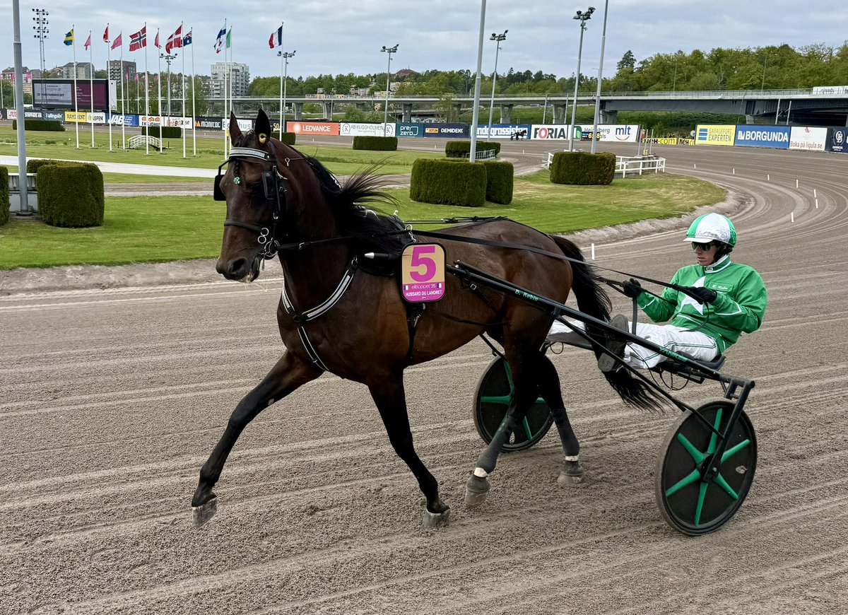 BjornSimonsson's tweet photo. Hussard du Landret 
(e. Bird Parker - Anakine du Bellay) https://t.co/7lDFOzWduR