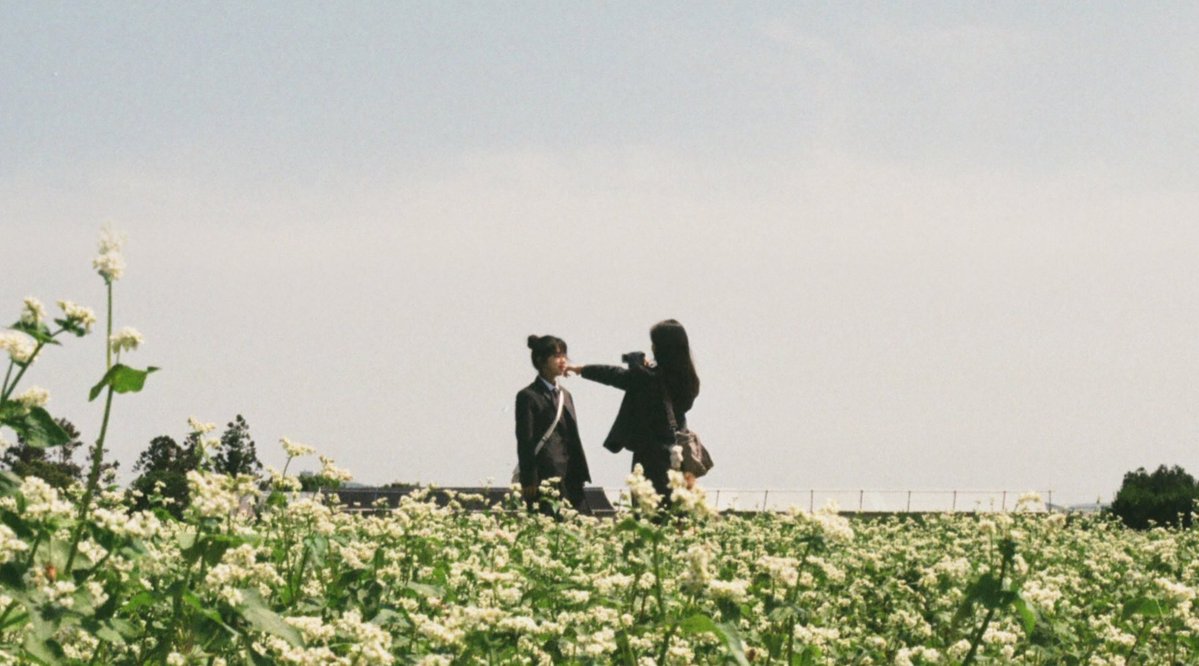 本日公開を迎えました。