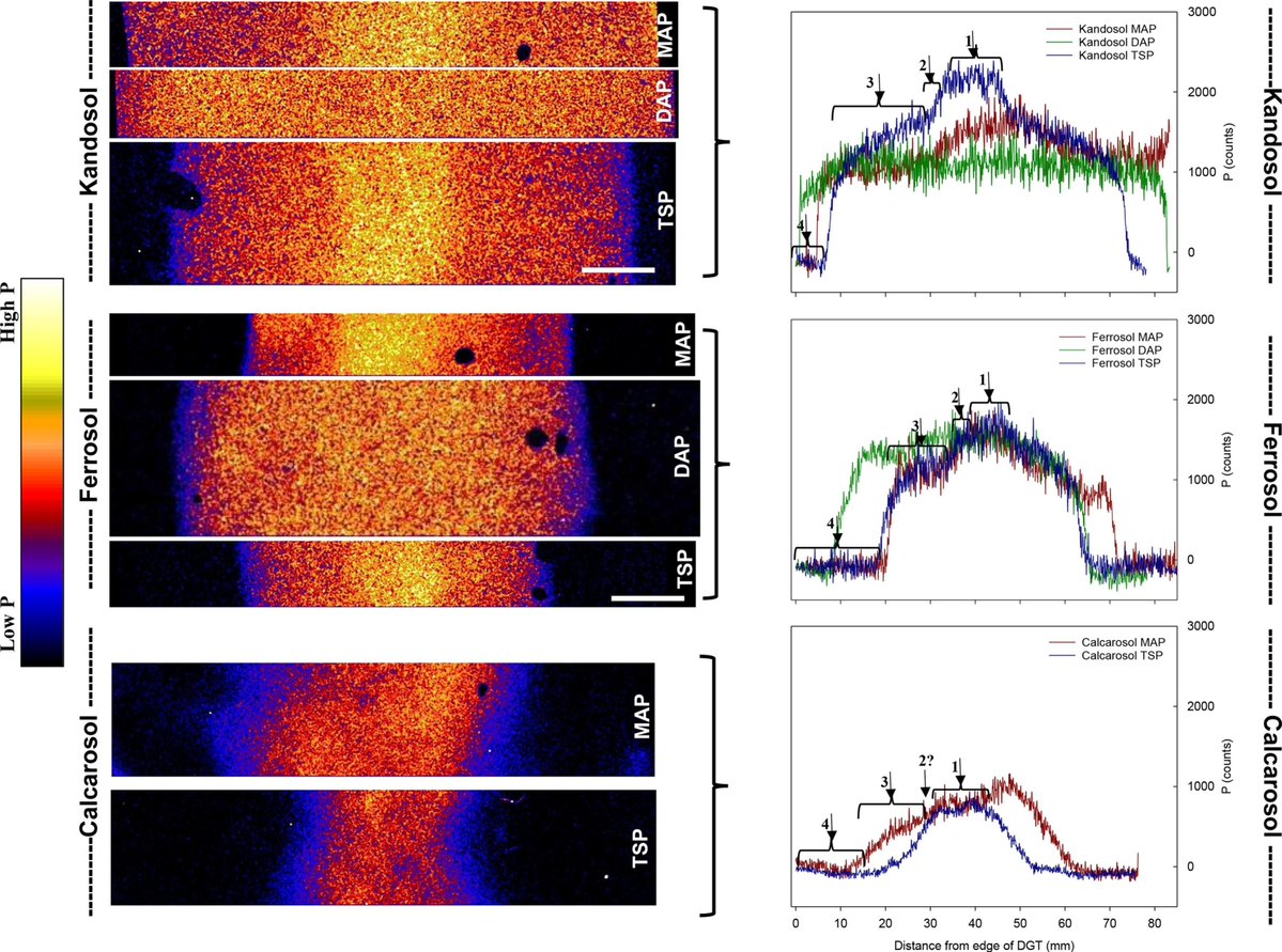 Geoderma_Jrnl's tweet image. New in Geoderma: &quot;Spatially-resolved characterisation of phosphate fertiliser reaction zones for sustainable soil management&quot; by Brigid A McKenna, Enzo Lombi, Timothy I McLaren, Casey L Doolette [...] Peter M Kopittke. buff.ly/5hMq3Cq
@UQ_News @uni_copenhagen UniversitySA