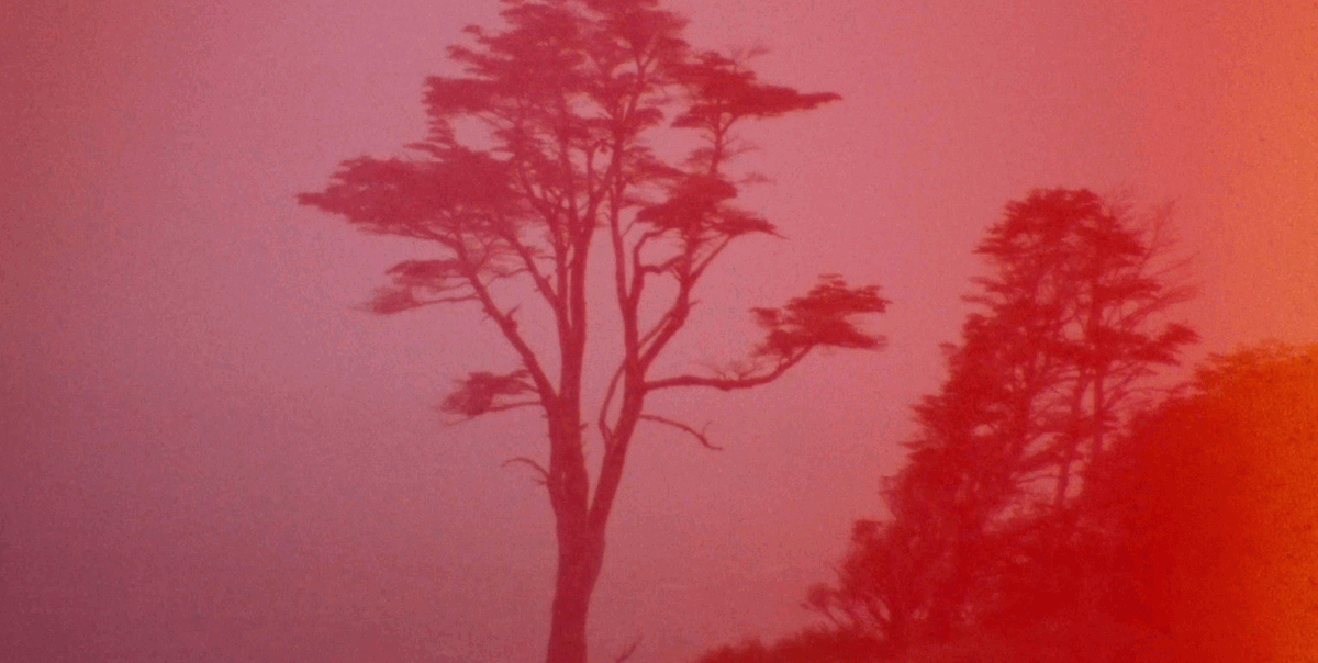 Eina Barcelona tweet media