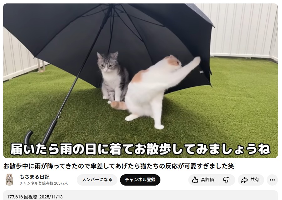 もち⭐︎断捨離中 ほい (@5CQJSKTHPmBPioF) / Posts / X