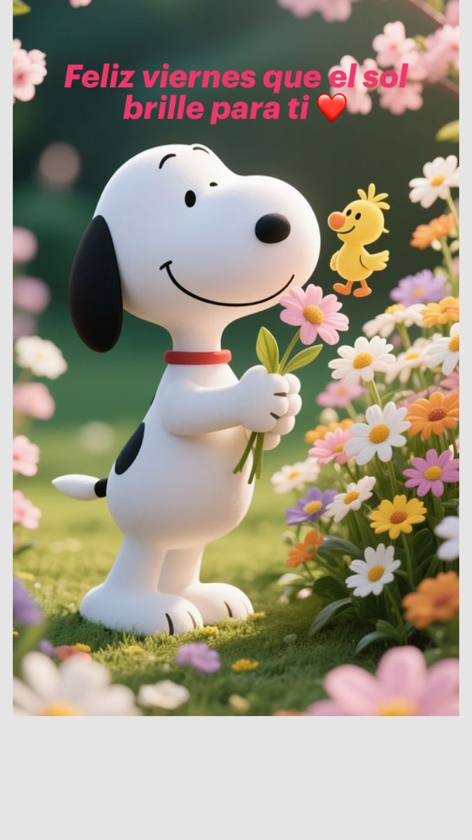 Que tengan un lindo dia saludos bendiciones para todos