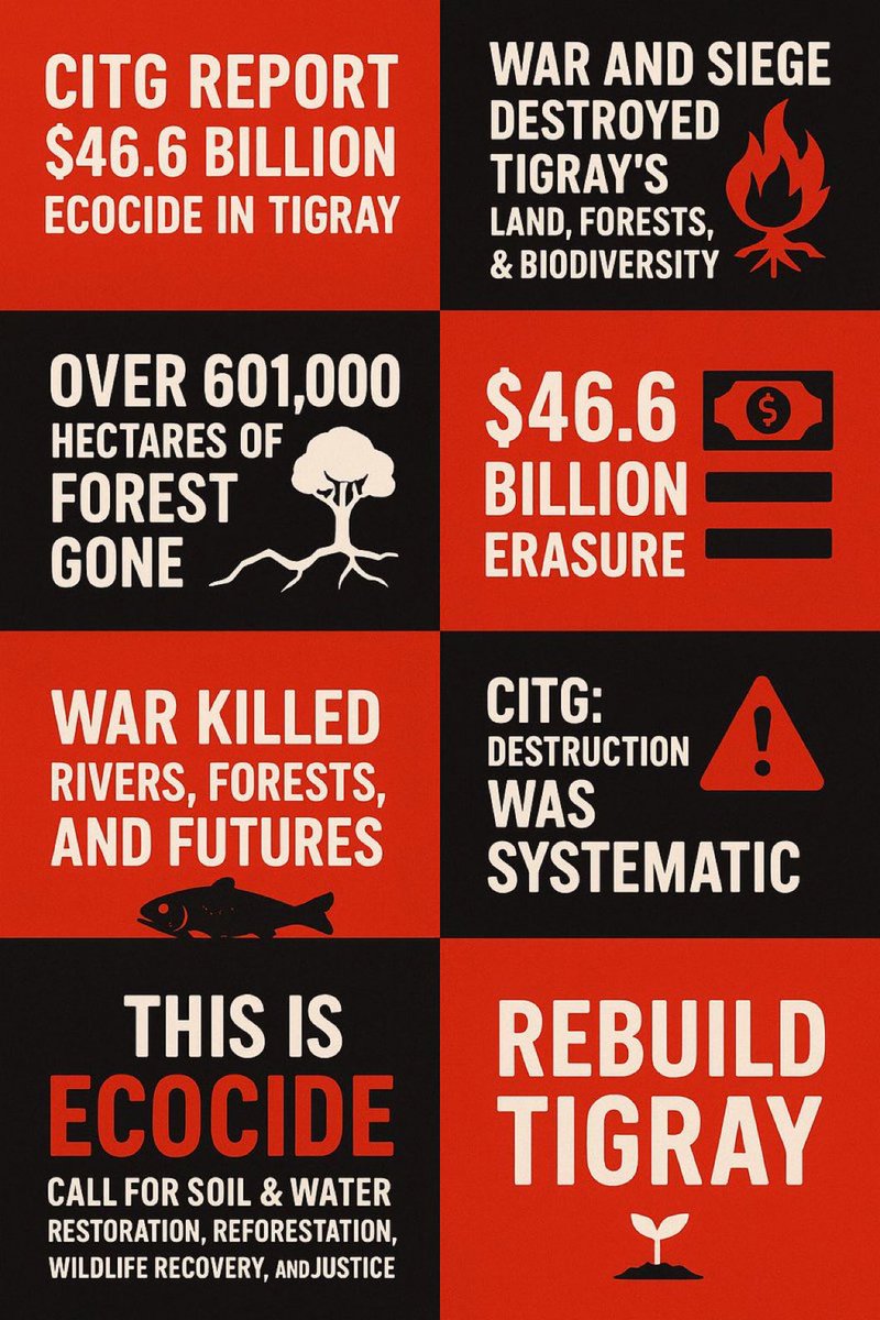 MizerTigrewayti's tweet image. 5/
Reconstruction is not just about bricks — it’s about dignity restored. #RebuildTigray #JusticeInRecovery #PeaceThroughRestoration
@UNDP @WorldBankAfrica @ECA_OFFICIAL @IMFNews