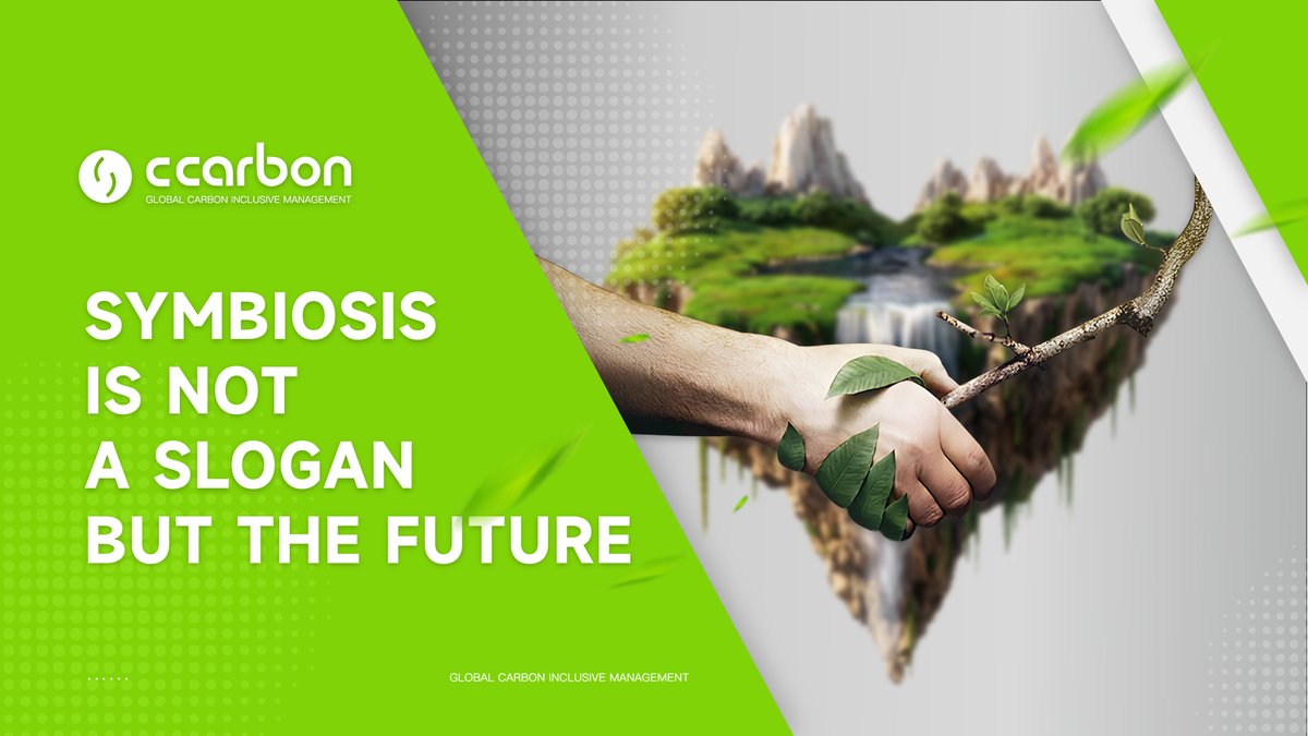 CCarbon - GLOBAL CARBON INCLUSIVE tweet media