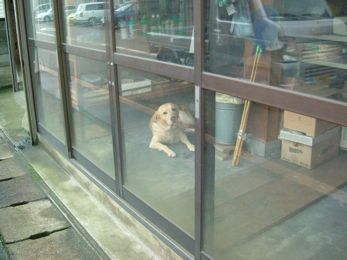 Rising Sun (@BizTripper) / Posts / X