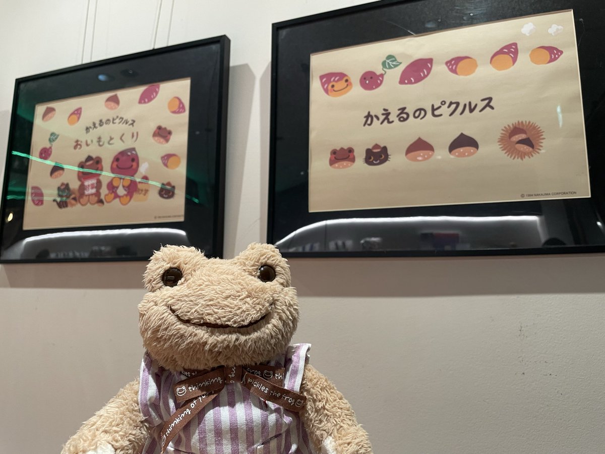 📍MATSUZAKI SHOTEN 銀座に用があり、おこげちゃんと 一緒に行ってき