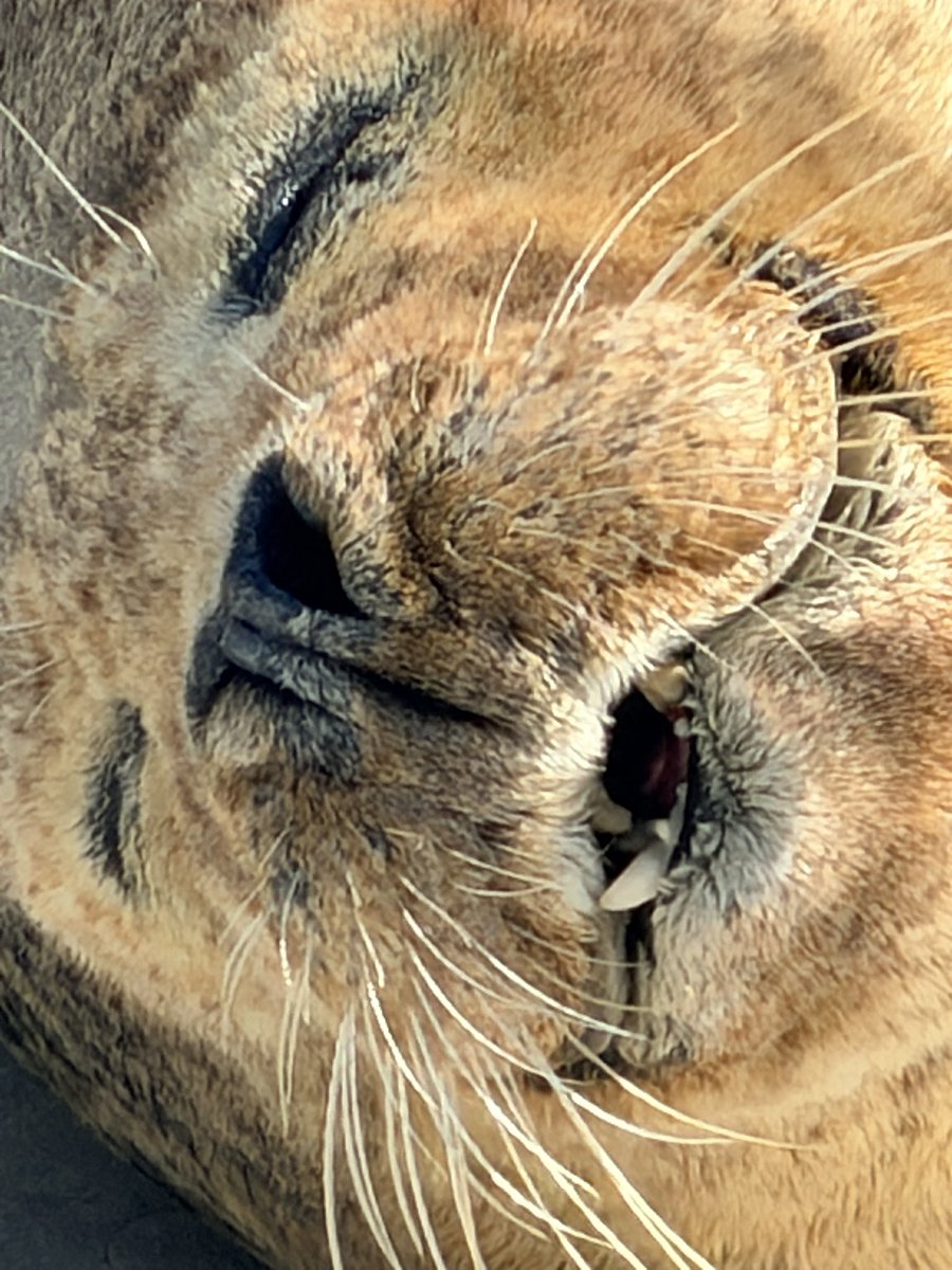 水族館行ってきたよ