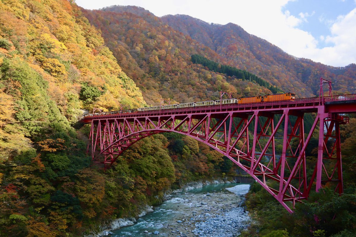 MChanrio25044's tweet image. 紅葉が見頃を迎え錦秋に染まる中、トロッコ電車がトコトコと走り抜けていきました🍁🍁
#黒部峡谷トロッコ電車
