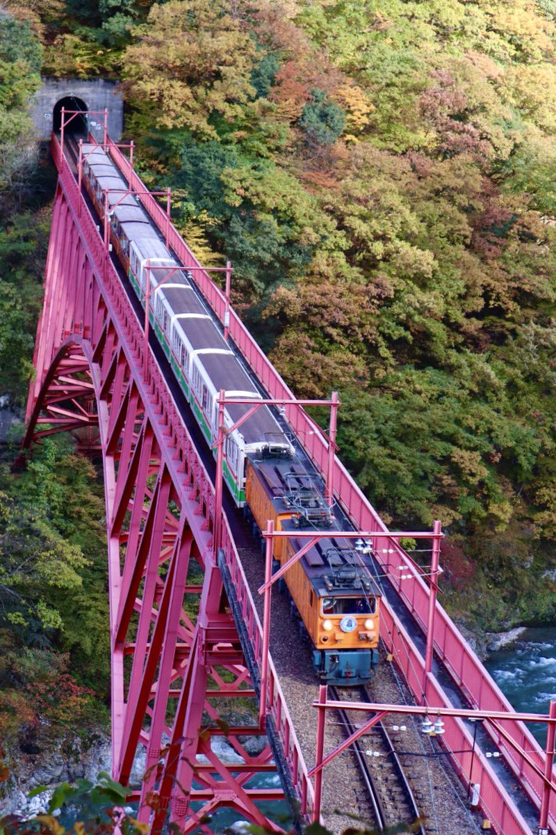 MChanrio25044's tweet image. 紅葉が見頃を迎え錦秋に染まる中、トロッコ電車がトコトコと走り抜けていきました🍁🍁
#黒部峡谷トロッコ電車