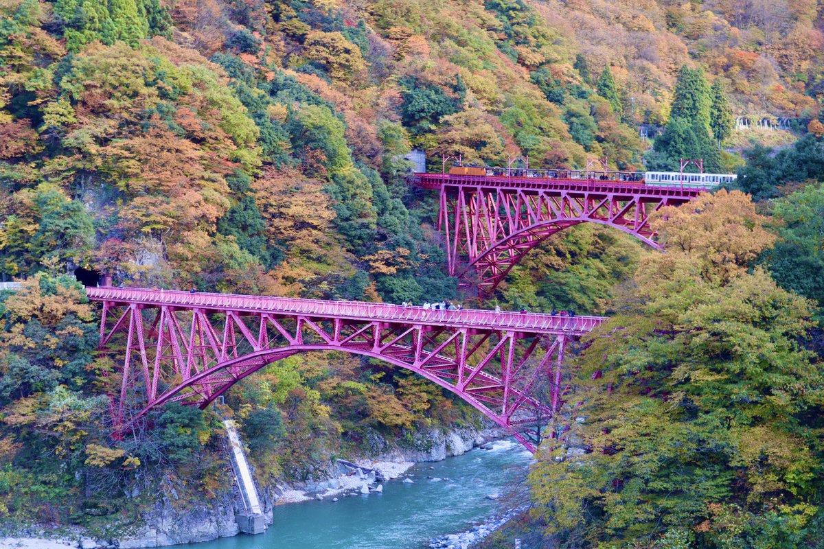 MChanrio25044's tweet image. 紅葉が見頃を迎え錦秋に染まる中、トロッコ電車がトコトコと走り抜けていきました🍁🍁
#黒部峡谷トロッコ電車