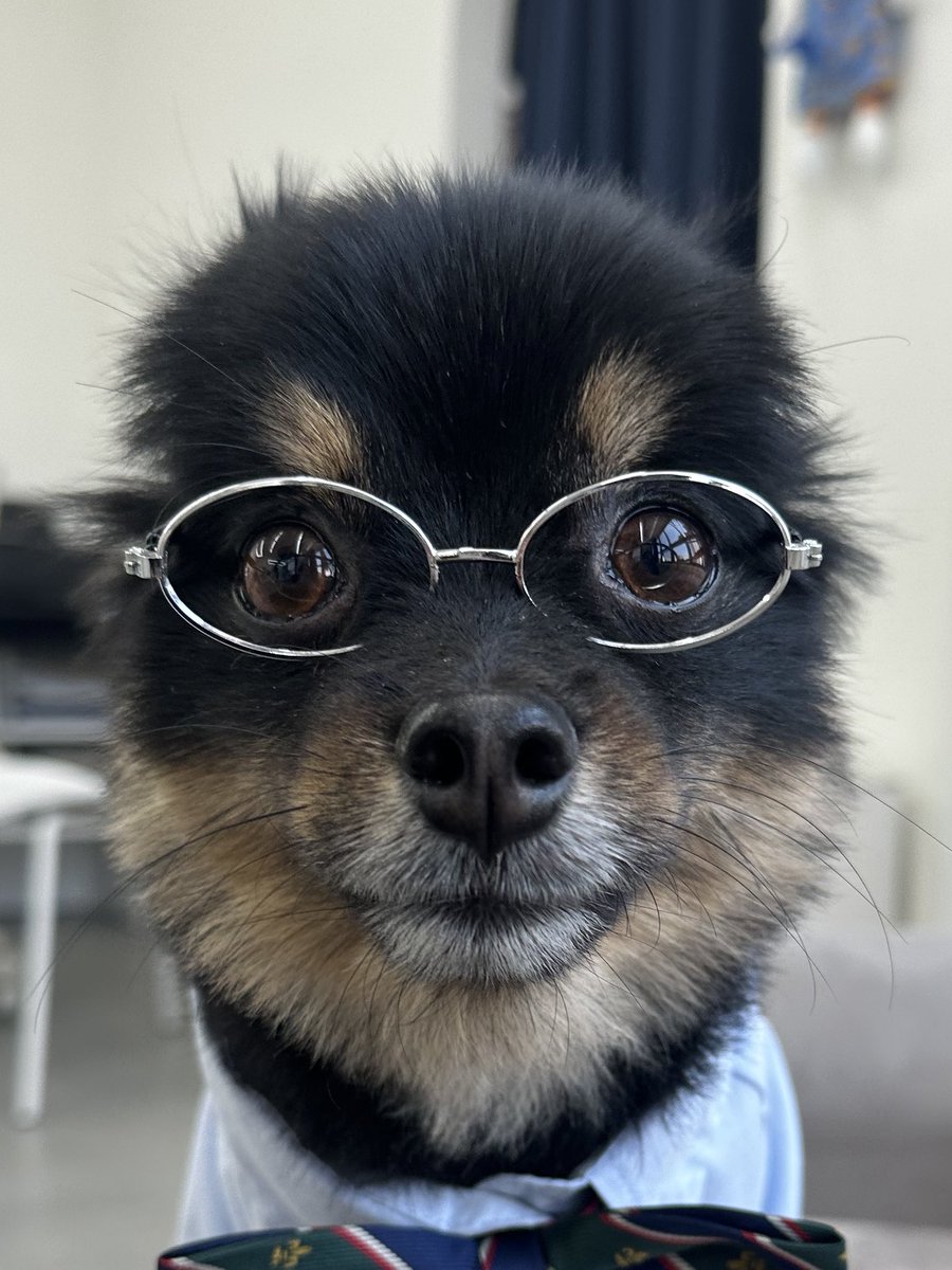 내가 찍으면 되게 지적인데