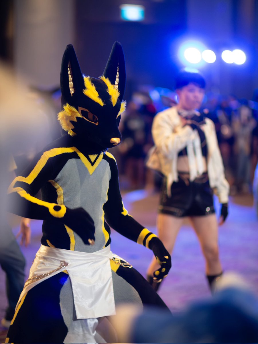 Focus on every move 👀

​📷: <a href="/r1o827/">里區欠／Rio</a>
#fursuitfriday #fursuiteveryday #infurnity