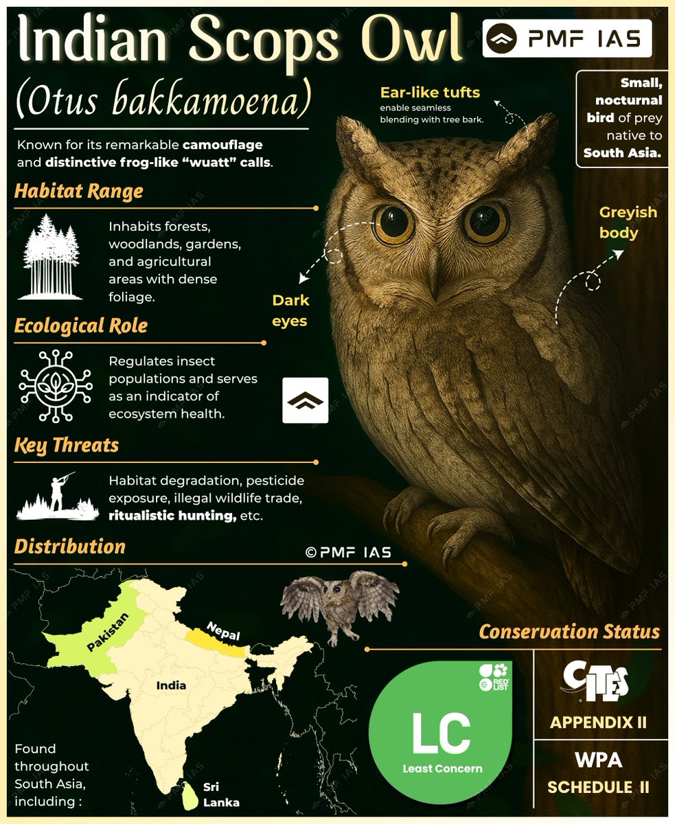 Indian Scops Owl (Otus Bakkamoena) 🦉

Context: The Indian scops owl was recorded for the first time near the Daroji Sloth Bear Sanctuary in Karnataka.

Species in News: UPSC Prelims 2026 🔖

#UPSC #UPSCPrelims2026 #UPSCPreparation