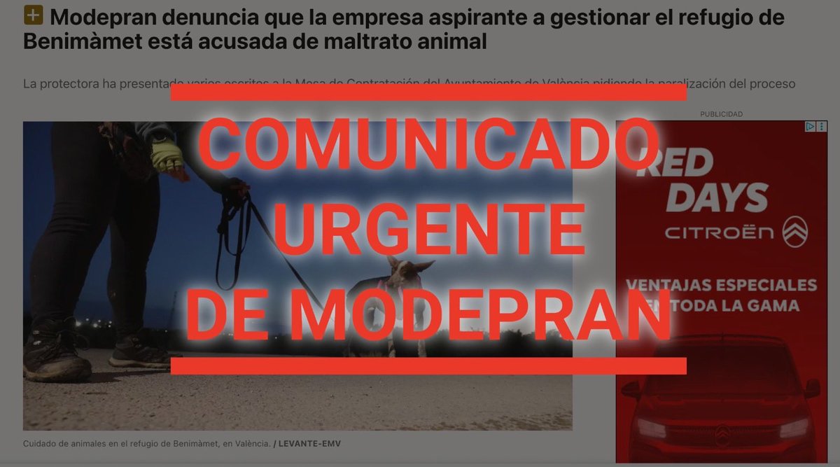 Modepran tweet media