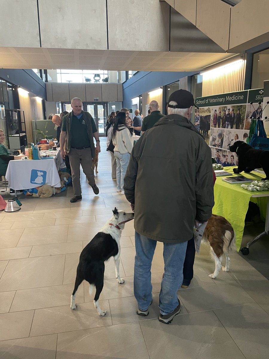 RAVICInverness's tweet photo. Thanks to everyone who attended our first public Open Day at @RAVICInverness. We were blown away by the numbers interested in our work and research, studies @sruc services at SAC Consulting and in animal disease surveillance with @SRUCVets and EPIC Scotland. 👩‍🔬🐕🌍 #onehealth https://t.co/eoqpVIYU1d