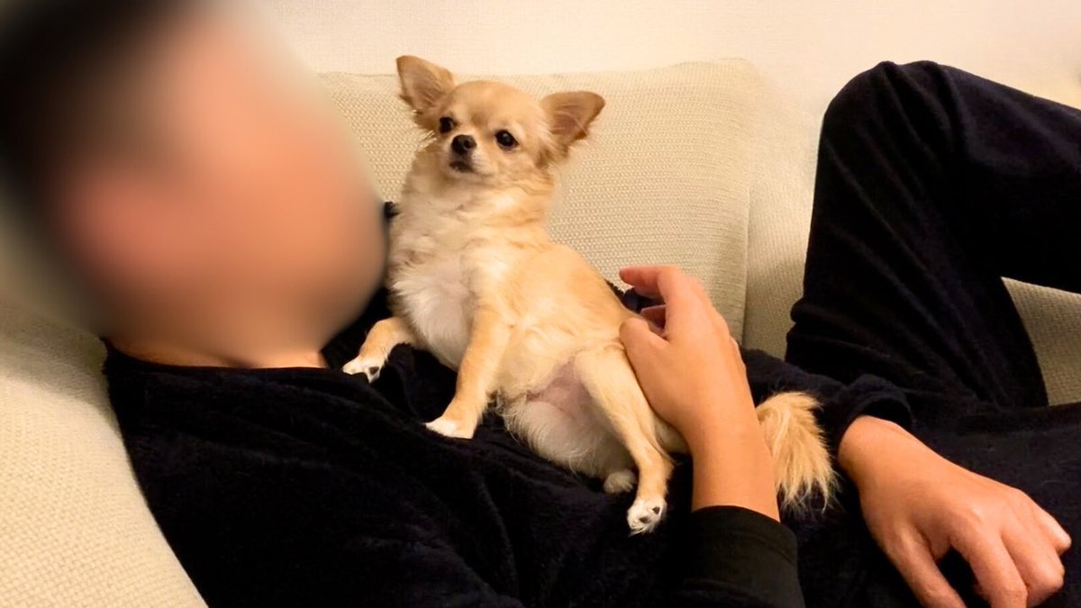 にこにこ (@___nkmmmm) / Posts / X