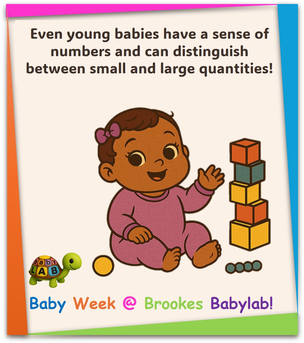 OBU_Psychology's tweet photo. That’s right, long before they can talk or count, infants can notice differences in amounts, showing that our number skills start earlier than you might think! 🍼💡#BabyWeek #BrookesBabyLab #AmazingBabies #BabyFacts #EarlyDevelopment https://t.co/KiCIqpchBI