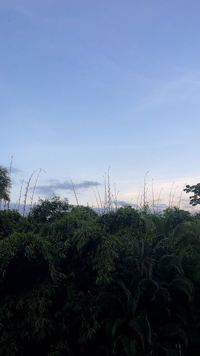 Viernes. Feliz día. #DesdeElOasis