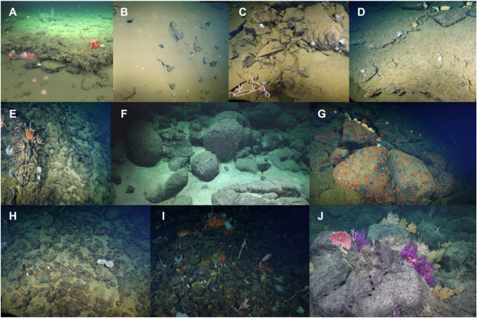🚨NEW STUDY 🚨 Linkages between megafauna and ferromanganese crusts outlined in SoCal seamounts.  Implications for #DeepSeaMining🪸⛏️🦑

READ: sciencedirect.com/science/articl…