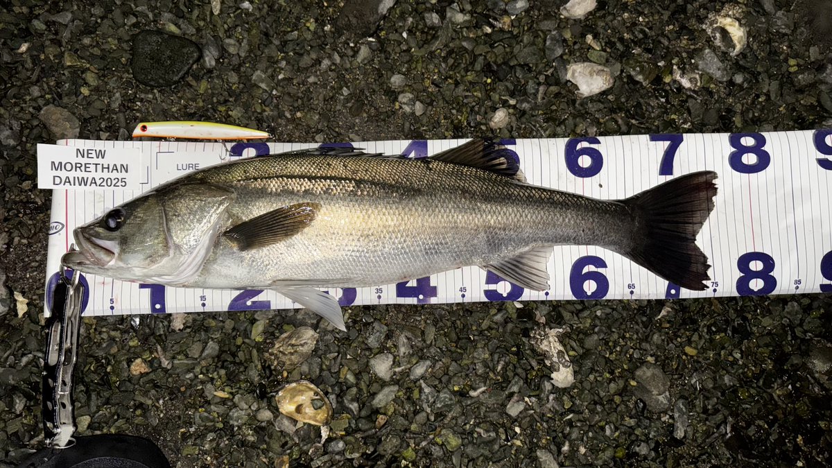 ima (@ima_ams) / Posts / X