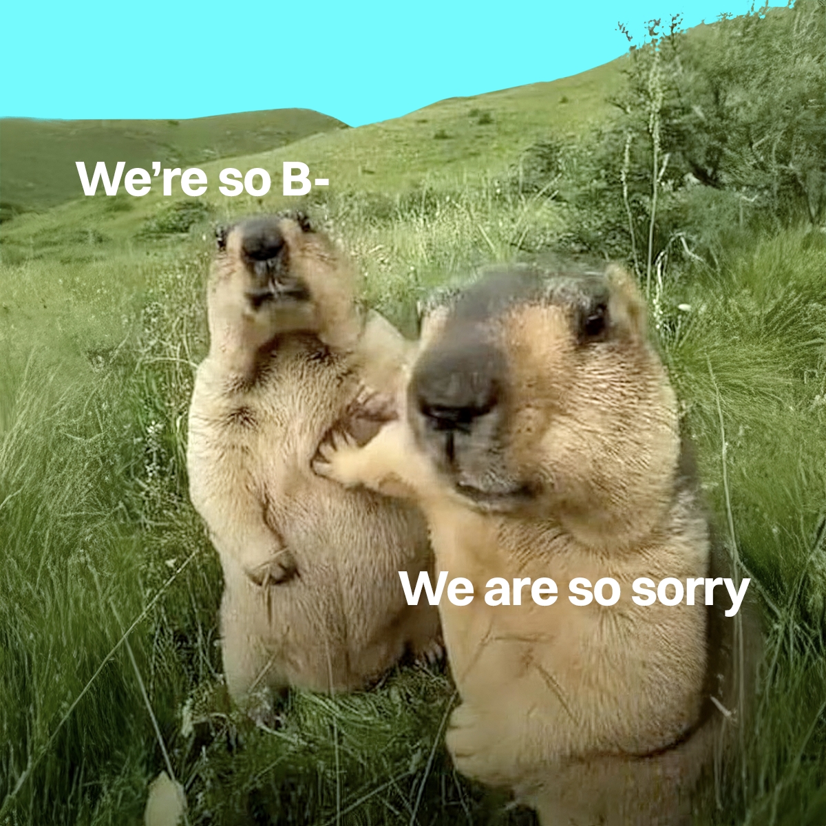 We all need that overly apologetic friend now😭.