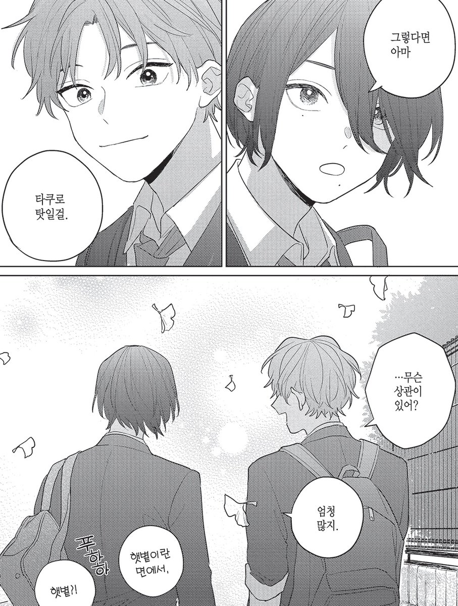 햇살공 자낮수 조합은 언제 안좋아지는거지