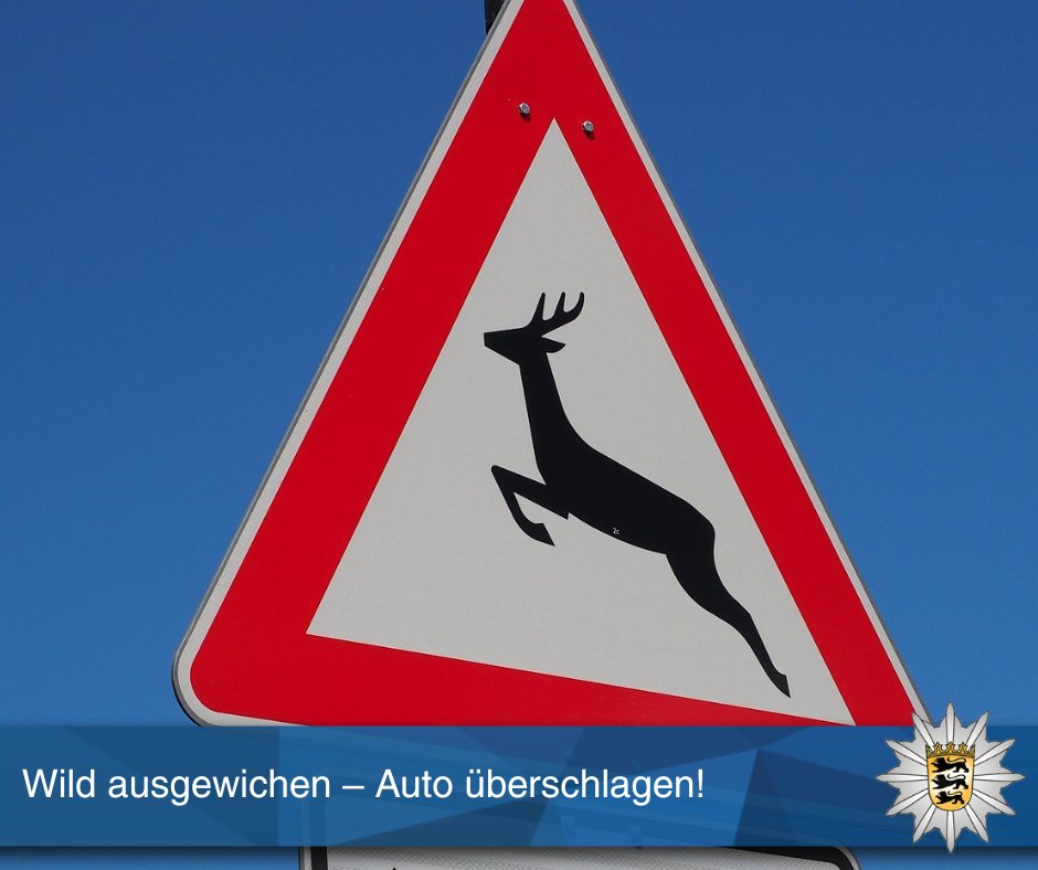 Wildunfall bei Volkertshausen:  55-Jähriger überschlägt sich mit seinem Audi, nachdem er einem Reh ausweichen wollte. Totalschaden (ca. 30.000 €), Fahrer unverletzt.
⚠️:
• Tempo reduzieren
• Aufmerksam fahren
• Bremsen statt Ausweichen