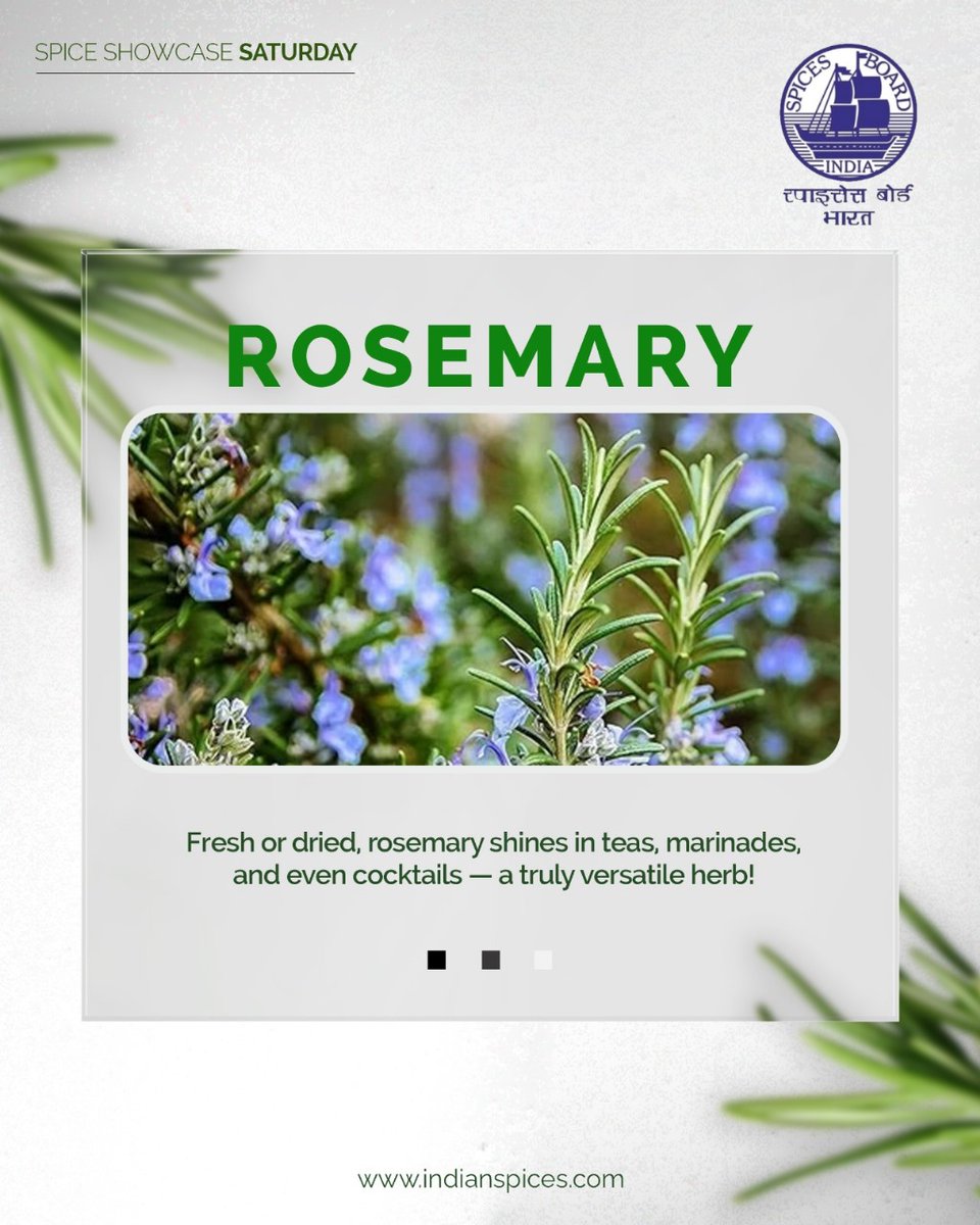 Spices_Board's tweet image. Its fragrance elevates everything from hearty dishes to refreshing drinks, proving that rosemary is more than a seasoning.
@DoC_GoI 
#SpiceShowcaseSaturday #RosemaryInFocus #VersatileHerbs #CookingWithLove #SpicesBoard