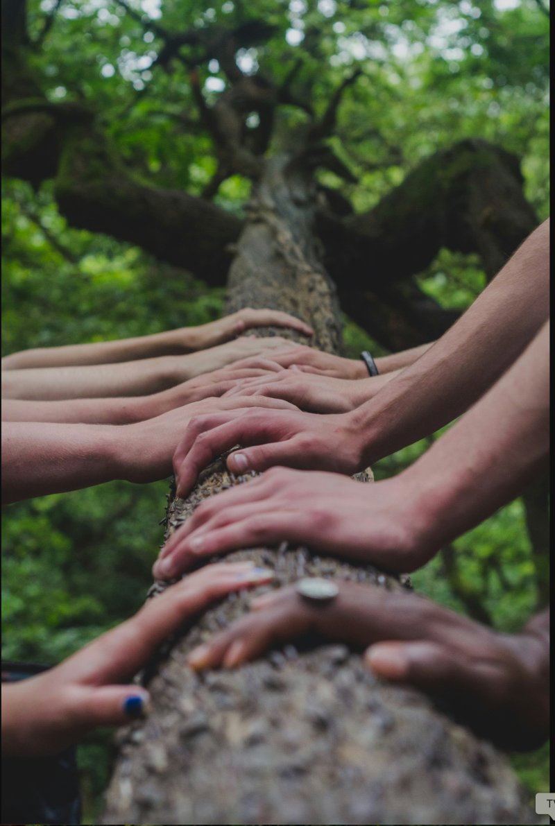 St Clement with St Peter Church tweet media