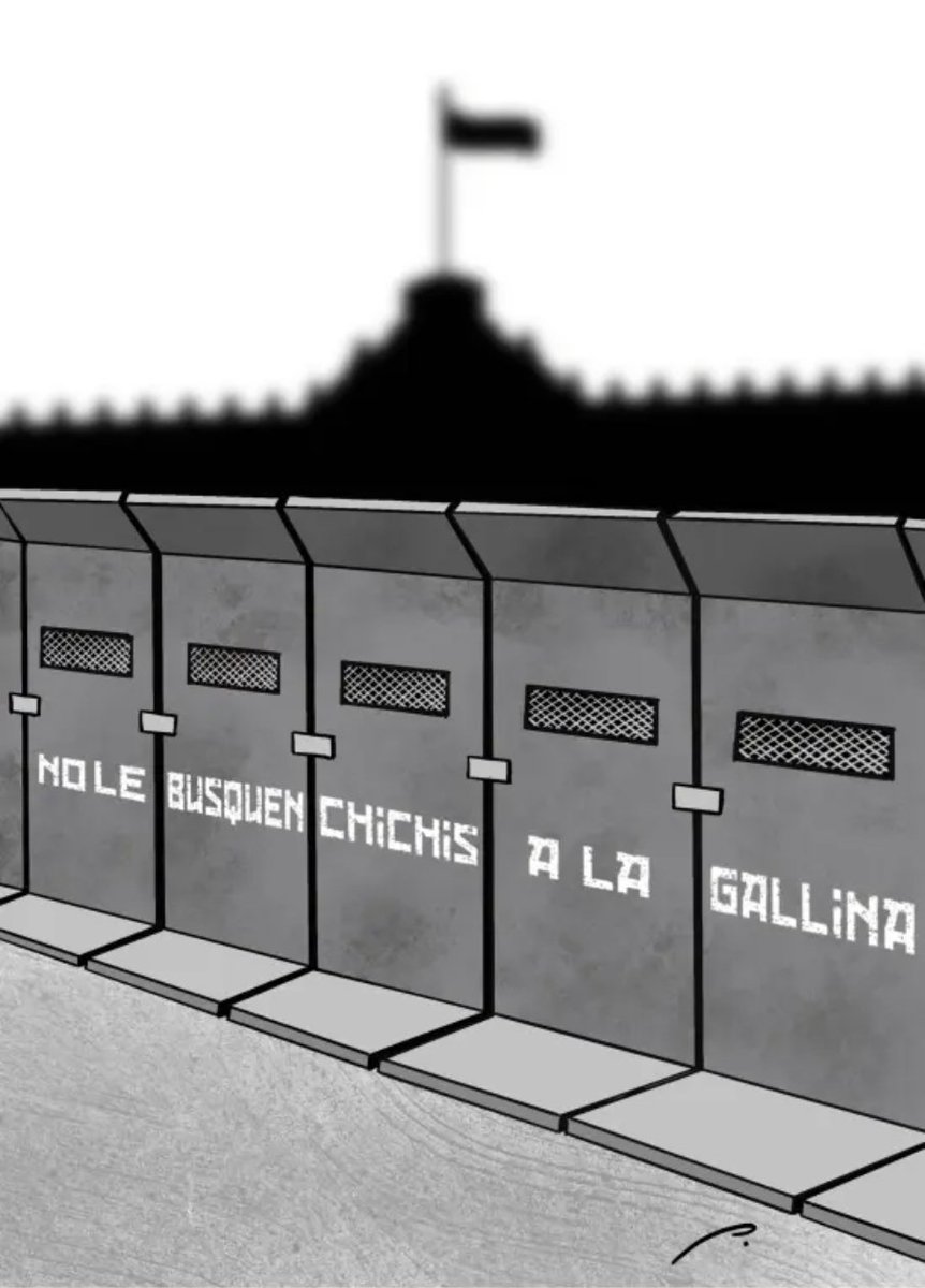 Mucho corral para una gallina sin chichis...

🤷🏼