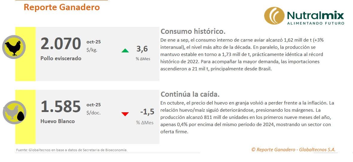 #ReporteGanadero ¿Qué pasó con la producción de #pollos y #huevos en el último mes? Uno a uno, cómo evolucionaron:
💰🐥 Precio del pollo
💰🥚 Precio del huevo
📊 Producción de pollo

👉 Pedí el informe completo a 𝐧𝐮𝐭𝐫𝐚𝐥𝐦𝐢𝐱@𝐧𝐮𝐭𝐫𝐚𝐥𝐦𝐢𝐱.𝐜𝐨𝐦.𝐚𝐫