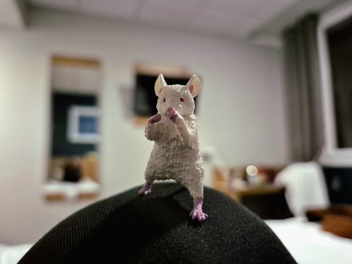 Becky Taylor tweet media