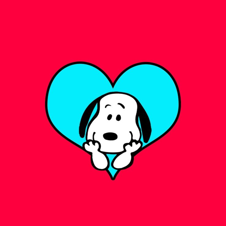SnoopyFansUS's tweet photo. https://t.co/fj4WgFq8sI