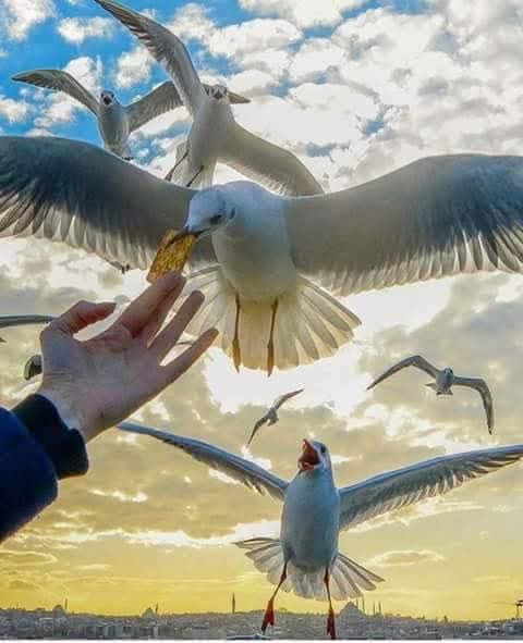 <a href="/MahinurOzdemir/">Mahinur Özdemir Göktaş</a> Merkez odağı KADIN olan hiçbir sistemin adil olacağını düşünmüyorum.
Siz #SüresizNafaka zulmüne sessizlik bizi soğuttu...